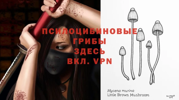 марихуана Дмитровск