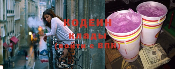 apvp Дмитриев