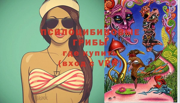 apvp Дмитриев