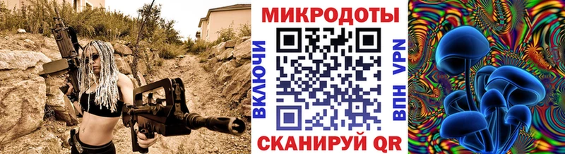 Галлюциногенные грибы Psilocybine cubensis Жирновск